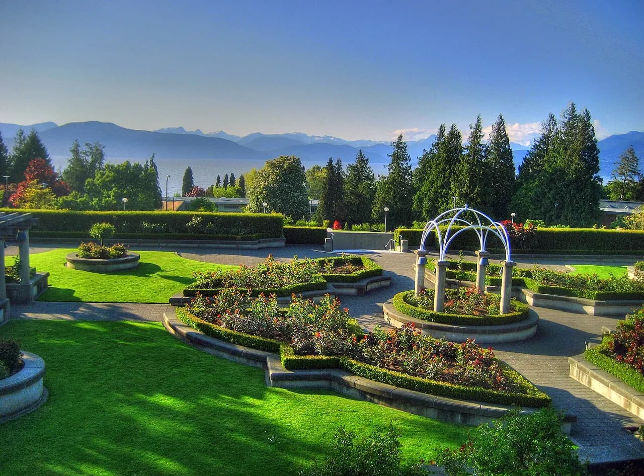 Picture of the UBC Rose Garden.