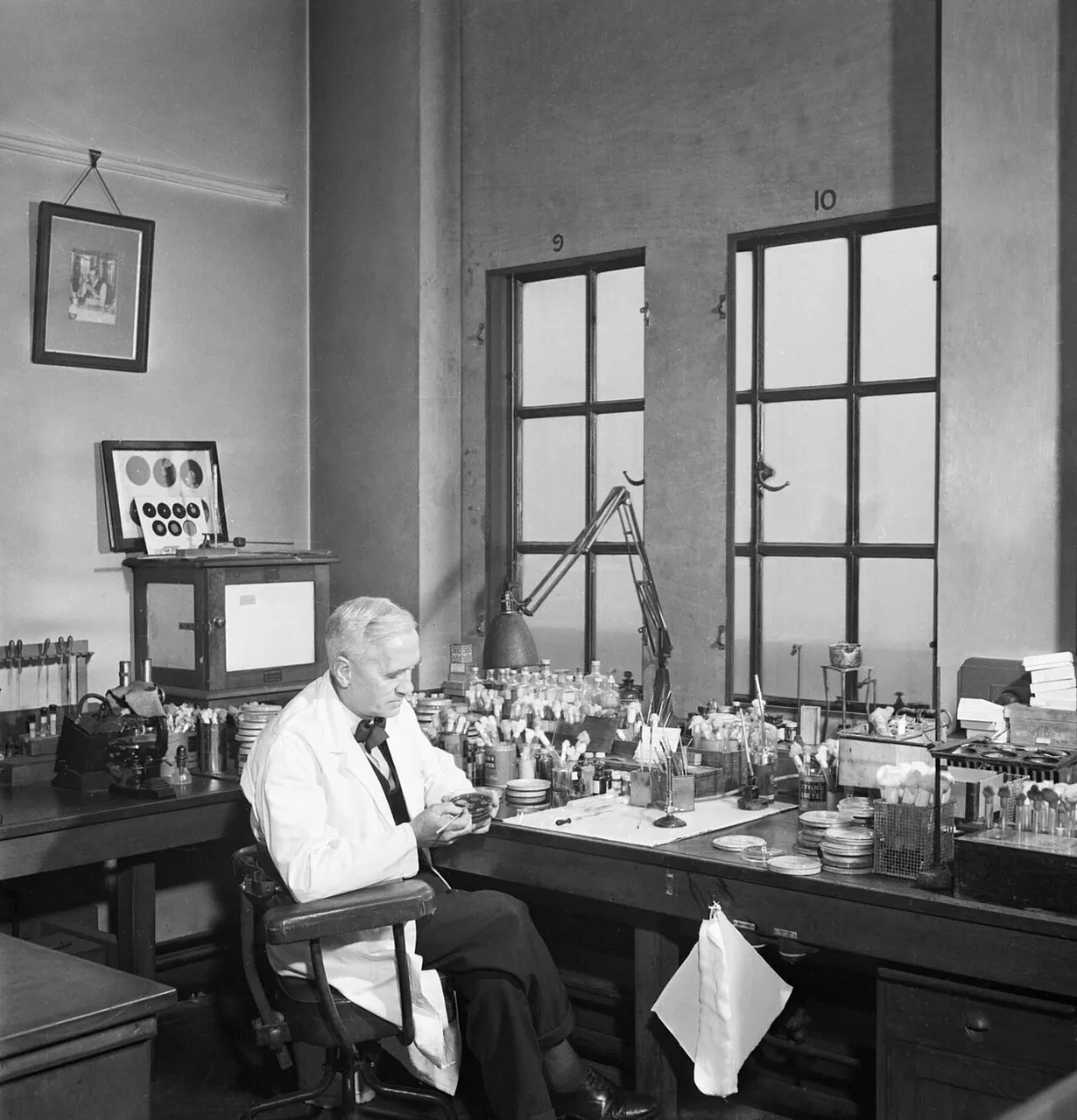 Professor Alexander Fleming at work in his laboratory at St Mary's Hospital, London, during the Second World War. Professor Alexander Fleming at work in his lab