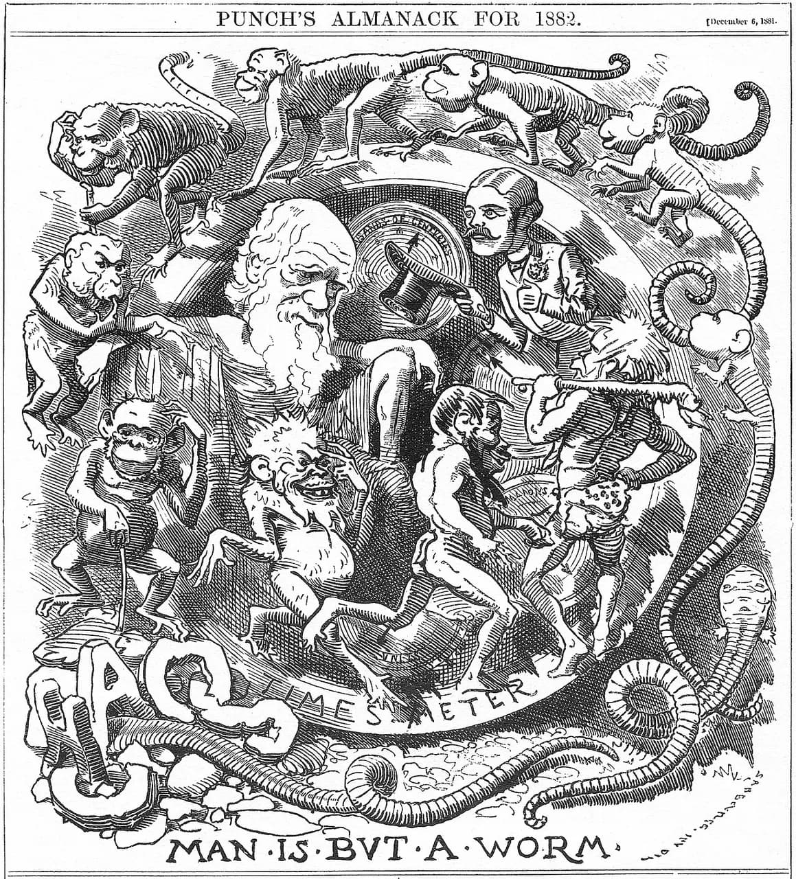 Caricature of Darwin's theory in the Punch almanac for 1882, published at the end of 1881 when Charles Darwin had recently published his last book, The Formatio